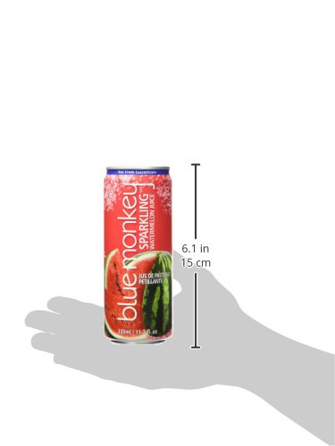 11.2oz (330ml) 12 Pack Blue Monkey Sparkling Watermelon Juice - Real Fruit Juice, No Sugar Added, All Natural, Lightly