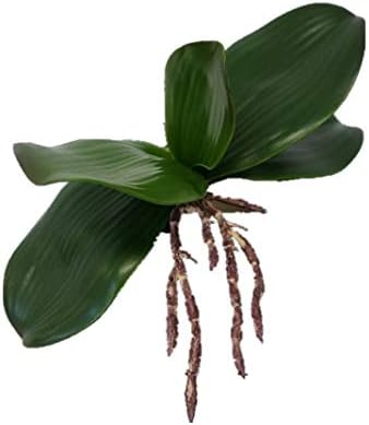 Greenery --- Sweet Home Deco Sweet Home Deco Gel Coated Phanaenopsis Orchid Artificial Greenery Leaf with Realistic