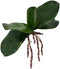 Greenery --- Sweet Home Deco Sweet Home Deco Gel Coated Phanaenopsis Orchid Artificial Greenery Leaf with Realistic