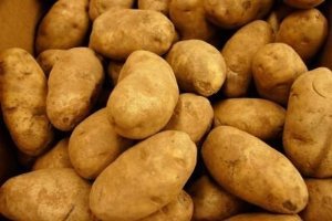 RUSSET POTATOES At The Neighborhood Corner Store POTATOES RUSSET FRESH PRODUCE 10 LBS