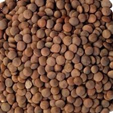 Abido Sahtein Brown Lentils