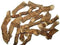 Scash 7 Ounce Calamus Root Whole Loose Dried Herb For Skin, Stomach Health Benefits Herbal Tea