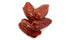 2.2 lb (35.2 oz), Yupik Organic Deglet Nour Pitted Dates, Non-GMO, Vegan, Gluten-Free, Kosher, Dried Fruits, No Pits