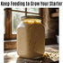 5g Dehydrated Sourdough Starter by Made With Loave | INCLUDES Recipe | Beginner Friendly | As Seen On TikTok |