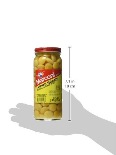 Marconi 16 Lupini Beans, Ounce