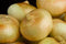 SWEET ONIONS ONIONS SWEET FRESH PRODUCE FRUIT VEGETABLES PER POUND