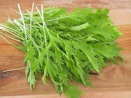 Seed Kingdom Mustard Mizuna Great Heirloom Vegetable By BULK 1 Lb Seeds