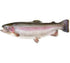 (Pack 3) 8.5 oz 240 Rainbow Trout in Own Natural Juice by EcoFood of | g