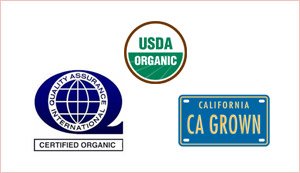9oz(Pack 2) Golden California Figs