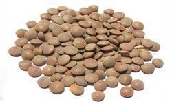 2lbs Laxmi All-Natural Whole Masoor (Red Lentils)