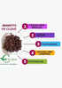 Ceylon Rustic Savour 3.5 oz Organic Whole Cloves USDA Organic Certified Aromatic Clove Spice in Resealable Pouch