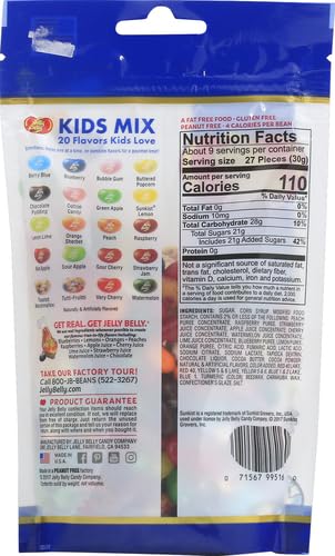 Jelly Belly Kids Mix Jelly Beans, 9.8 oz Resealable Pouch - 20 Assorted Flavors, Kosher, Peanut Free