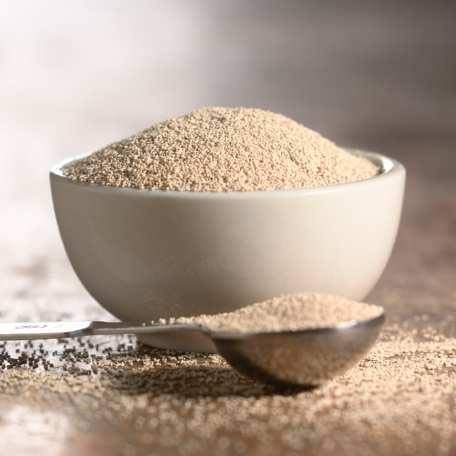 SAF Instant Yeast Red - 1 Pound for Baking Cake, Bread, and Dough