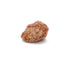 10 LB C.J. Dannemiller Butter Rum Peanuts, Bulk Box, Smooth, Buttery & Salty Peanuts Great For Snacking and Trail Mix