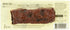 1.3 Epic Provisions, Bison Bacon Cranberry Bar, Ounce