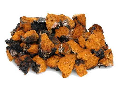 10 oz Artizan Coffee USDA Organic Ground Coffee | Functional Mushroom Coffee Fusion - Lion's Mane & Chaga | Medium-Dark