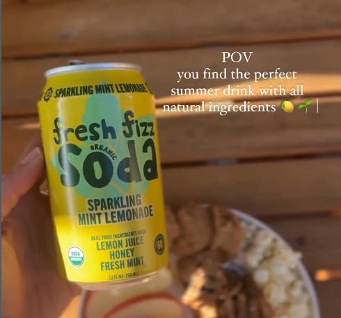 Fresh Fizz (4-pack, Sodas Organic Soda - All Natural Soda Sweetened With Honey, Flavors Include Sparkling Juices