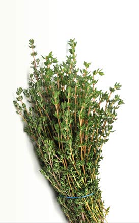 TastePadThai Fresh Herbs Bundle. Fresh Rosemary, Thyme, Oregano and Fresh Mint