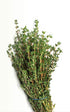 TastePadThai Fresh Herbs Bundle. Fresh Rosemary, Thyme, Oregano and Fresh Mint
