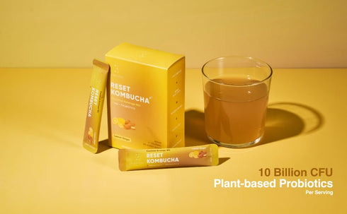 Reset 10 Pack Everydaze Kombucha Tea Powdered Beverage Mix | Sticks | Prebiotics + Probiotics | Vegan | No Added Sugar