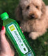 16.9 oz, Pack 12 ALO Aloe Vera Juice Drink | AWAKEN - Aloe Vera + Wheatgrass | fl of | Plant Based Drink with Real Aloe