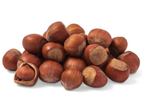 Oregon Large Hazelnuts in Shell, 1 lb, Whole Raw Filberts, Kosher, Non-GMO,