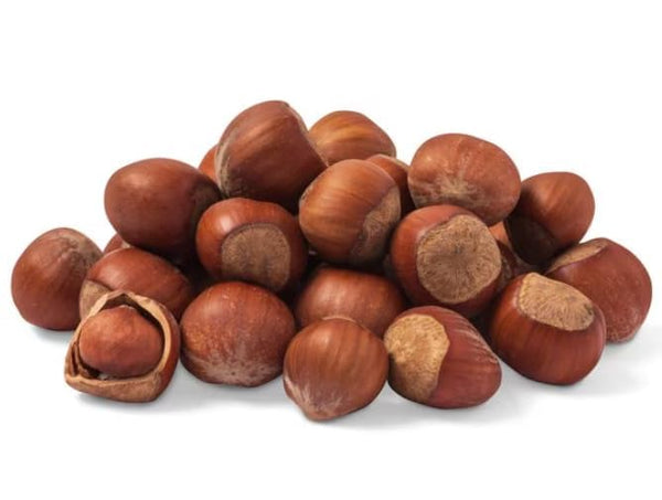 Oregon Large Hazelnuts in Shell, 1 lb, Whole Raw Filberts, Kosher, Non-GMO,