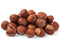 Oregon Large Hazelnuts in Shell, 1 lb, Whole Raw Filberts, Kosher, Non-GMO,