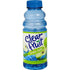 Clear Fruit 12 Pack Water 20 Ounce Bottles Non Carbonated Water Beverage (Green Apple)