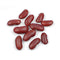 Dark Red Kidney Beans, 10 lb Bulk Dried Kidney Beans, Firm Texture