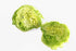 2 count Kejora Iceberg Lettuce