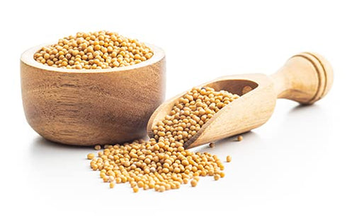 3 lb Birch & Meadow of Yellow Mustard Seeds, Mild Mustard Flavor, Dips & Dressings