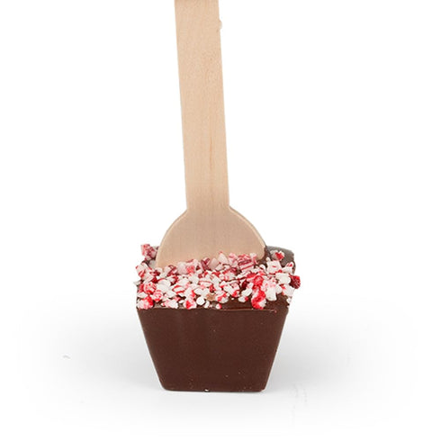 12 Pack Happy Holidays & Seasons Greetings Hot Chocolate Spoon Favors For Christmas Gifts, Holiday Party Favors & More