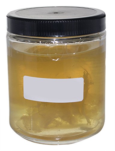 Supreme Vinegar 3696 8 oz. Supreme Cider Mother of Vinegar Yellow