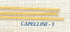 Gus Sclafani Fine Italian Imports Capellini #5 Long Cut Pasta Case of Twenty (20) 1 .lb Pouches