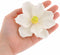 Global Sugar Art Magnolia Blossom Sugar Cake Flowers, White, Large, 3 Count