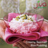 4 LB Organic Basmati Rice Bag - Pure, Extra Long, Premium Quality from India - By Jiva Organics