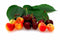 Bellindora Vinegar 900101 Balsamic Cherry - Pack of 3
