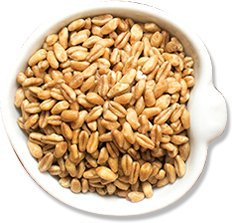 (2 lbs) Royal Lee Organics Organic Spelt Berries