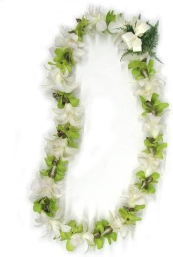 Hawaii Flower Lei Hawaiian Lei - Fresh Single Strand Orchid Lei - Green and White