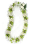 Hawaii Flower Lei Hawaiian Lei - Fresh Single Strand Orchid Lei - Green and White
