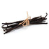 Tongan Vanilla Bean Pods 5 Beans