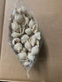 Great Low Carb Bread Company Pasta Shells