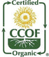 Packed 2Lbs (Pack 3) McCabe Organic Buckwheat Flour - Buckwheat Flour Organic | Rich with Fiber & Minerals | USDA