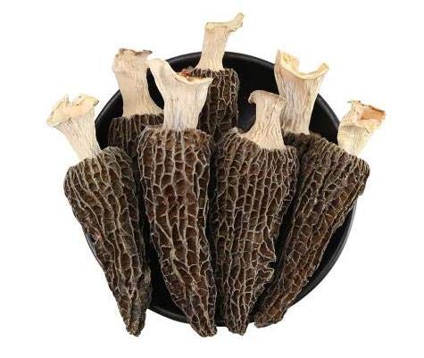 Dried Morel Mushrooms (Morchella Conica) 2oz