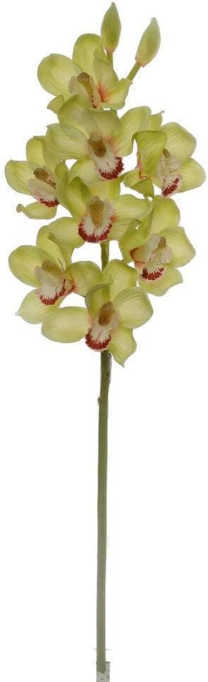 Larksilk 1 Silk Cymbidium Orchid Stem Green 30" - 10 Gorgeous Flowers,