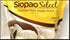 Generic Goldilocks Pork Siopao Select Sliders 10x2oz THAWED