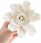 Global Sugar Art Gardenia Sugar Cake Flowers Jumbo White with Wire, 1
