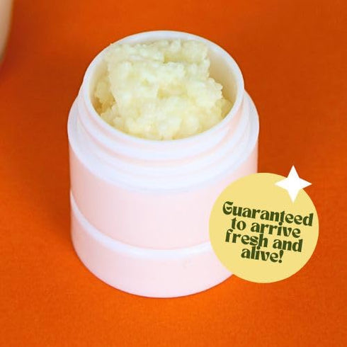 (1tsp) Live Milk Kefir Grains, Reusable Starter Culture