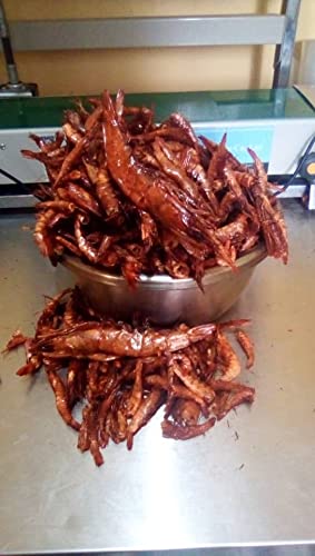 100g Colour Flavour Dried Red Shrimps (Oporo) | Premium Nigerian Dried Seafood | Natural Smoked Red Prawns for Cooking